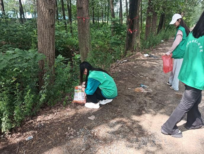 南京师范大学“三下乡”：绿动未来，以青春护航乡村美