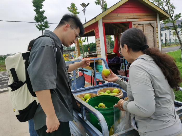 南京师范大学暑期三下乡：金果林里绘新篇：美了生态，富了口袋的乡村振兴实践