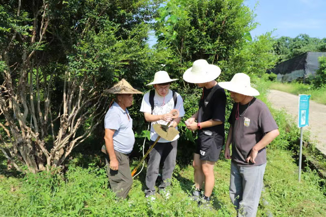 漳州职业技术学院“实骊珠华”团队走进金永鹏树葡萄示范基地