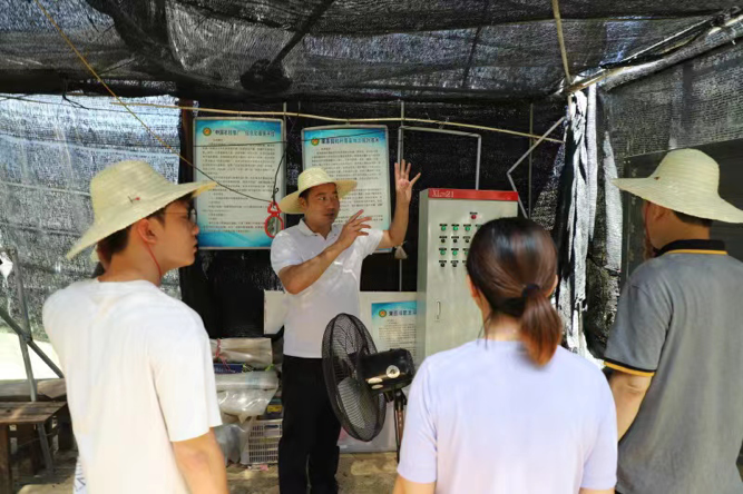 漳州职业技术学院“实骊珠华”团队走进金永鹏树葡萄示范基地