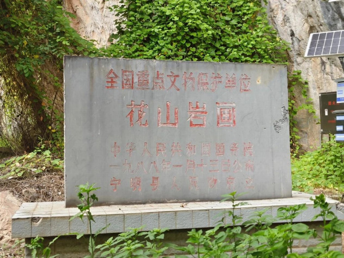青春力量助力乡村振兴，社会实践铸就学子成长之路