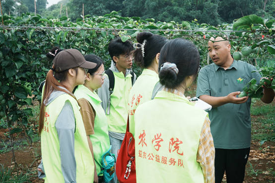 青矜之志壮边疆，履践致远助振兴