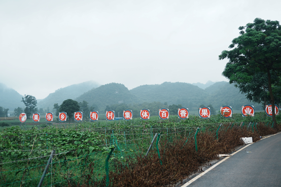 青矜之志壮边疆，履践致远助振兴