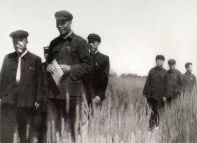微信图片_20241208092716.png