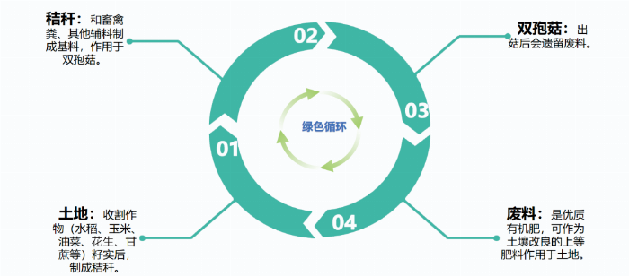 江西乐安县增田镇国丽双孢菇示范基地