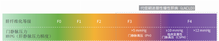 看见新力量|国产FibroScan® Pro无创肝病检测仪成医疗健康新热门