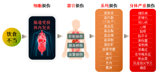 民耀營養食療法：開啟健康新密碼