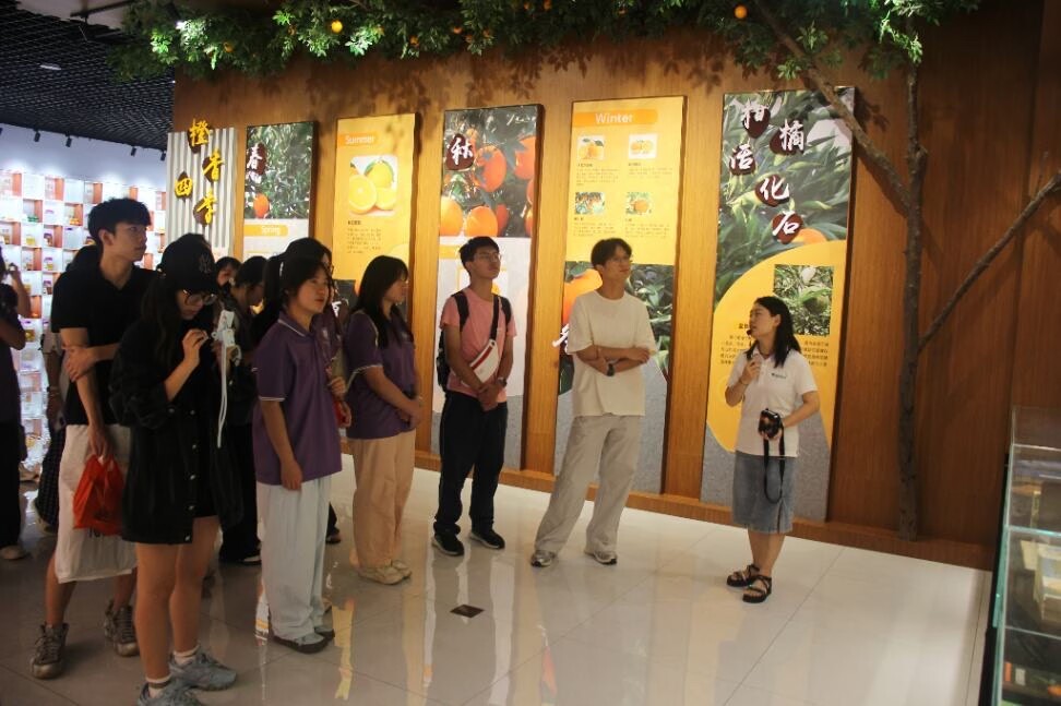 大学生探访柑橘产业航母：屈姑集团全产业链实践课揭秘秭归脐橙的全球之旅