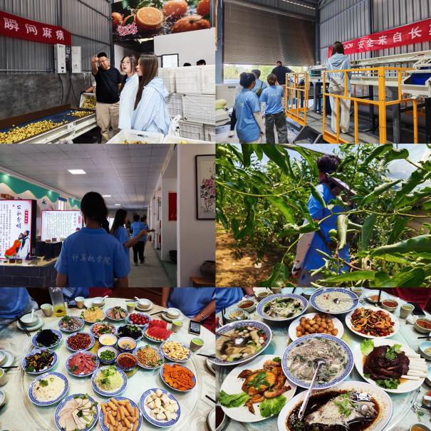 西安交通大学城市学院“E脉传艺·码育乡邻”暑期实践队：科技赋能非遗传承 青年助力乡村振兴