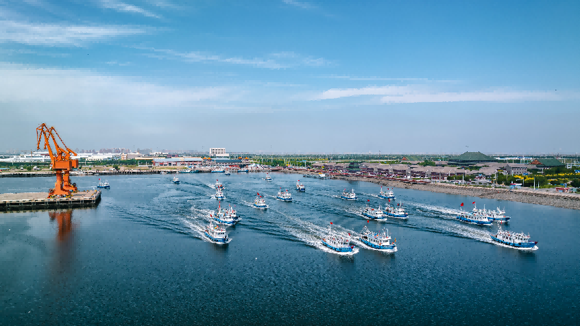 滨海鲤鱼门焕新升级，打造京津冀出海吃海新地标