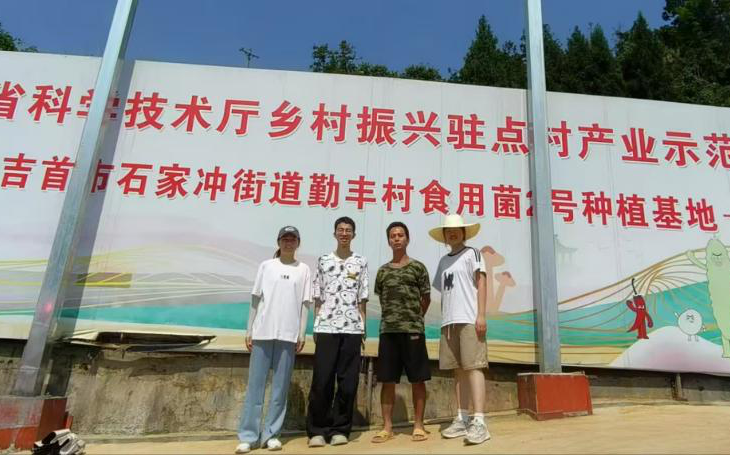 湖南勤丰村黑皮鸡枞菌基地：乡村振兴新图景，科技助农新典范