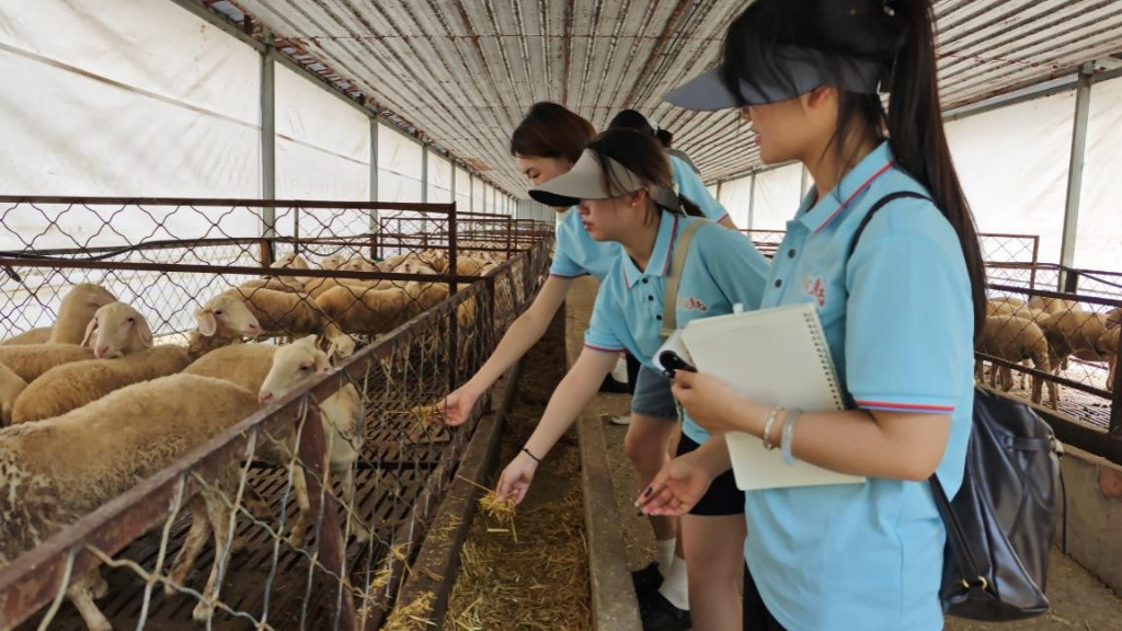 安财学子访固镇：光伏赋能养殖，生态反哺农业