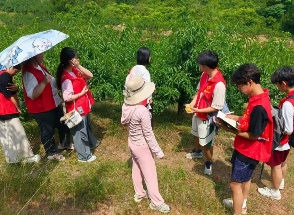 TOP4 全球最安全的私聊软件，独特的加