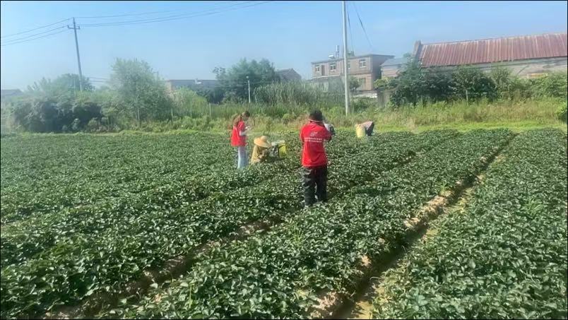 微信图片_20250813135550_55.jpg