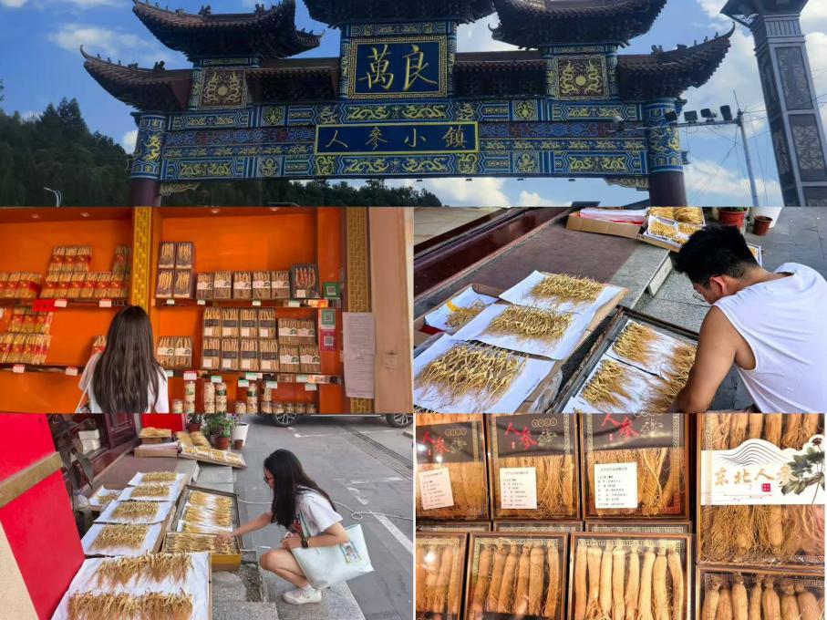 “青春助农传文脉 三下乡里绘振兴”——长春中医药大学马克思主义学院暑期“三下乡”社会实践活动(3)