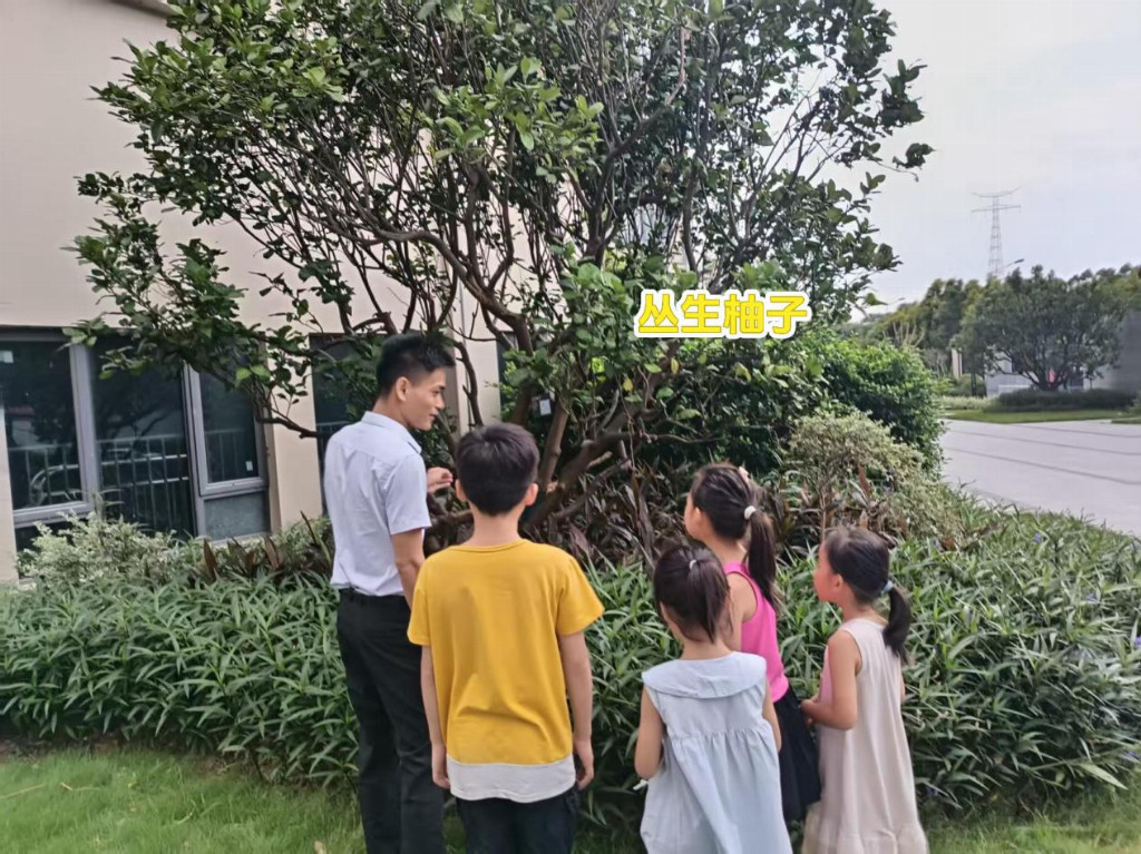 世茂服务东南区域：当一天 “小小物业人”，体验世茂服务小区里的奇妙日常！