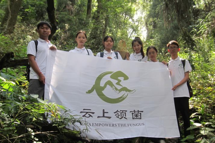 云岭“识”菌，“链”动乡村致富梦