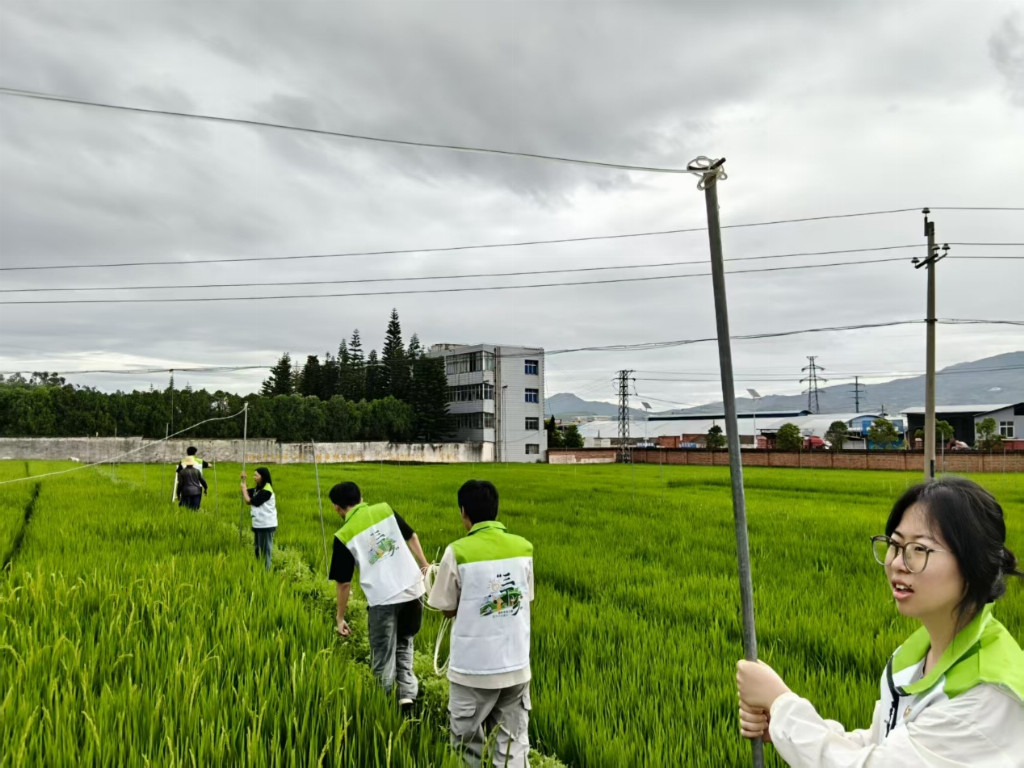 “把论文写在大地上”：西北民大青年赴大理