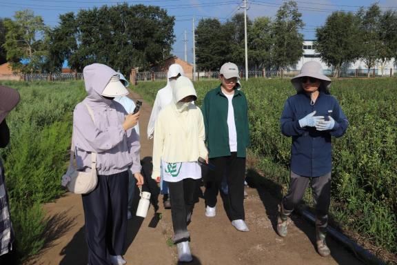西农学子沽源科技小院实践纪实——深耕田间地头，科技赋能乡村振兴