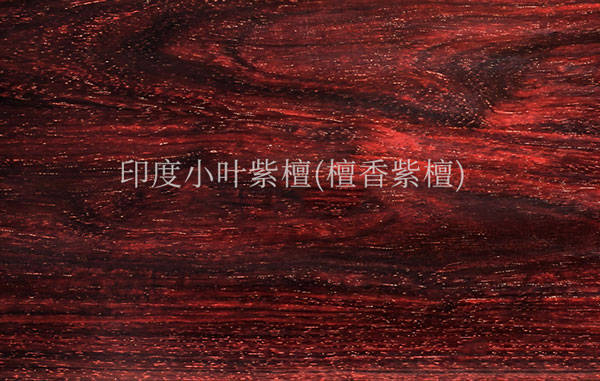 東成紅木：小葉紫檀紅木家具 “收藏熱門” 品牌