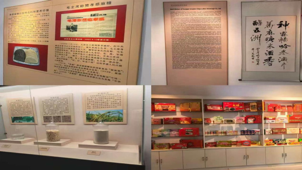 孝行致远，星火乡传——武汉学院法学院学子探寻孝感文化，共赴文化传承之约(图3)