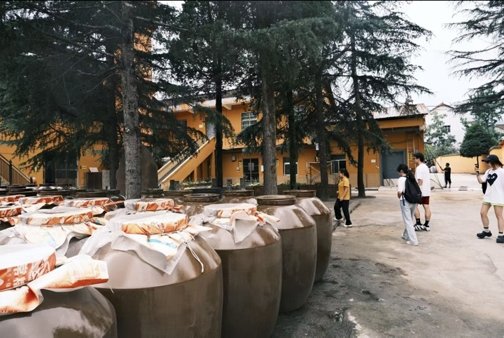 青春实践路 文脉传承行——陕西中医药大学青年“三下乡”社会实践活动(图5)