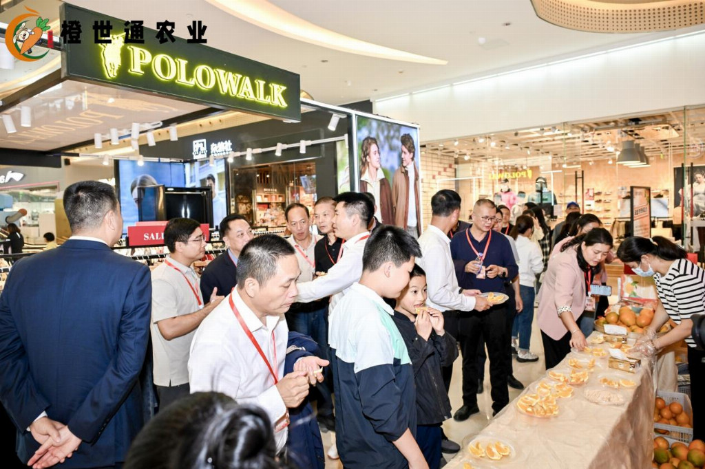 脐香飘闽南 橙心献鹭岛 — 2025年赣南脐橙（瑞金）厦门推介会圆满举行