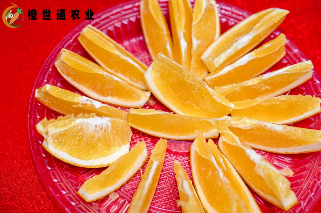 脐香飘闽南 橙心献鹭岛 — 2025年赣南脐橙（瑞金）厦门推介会圆满举行