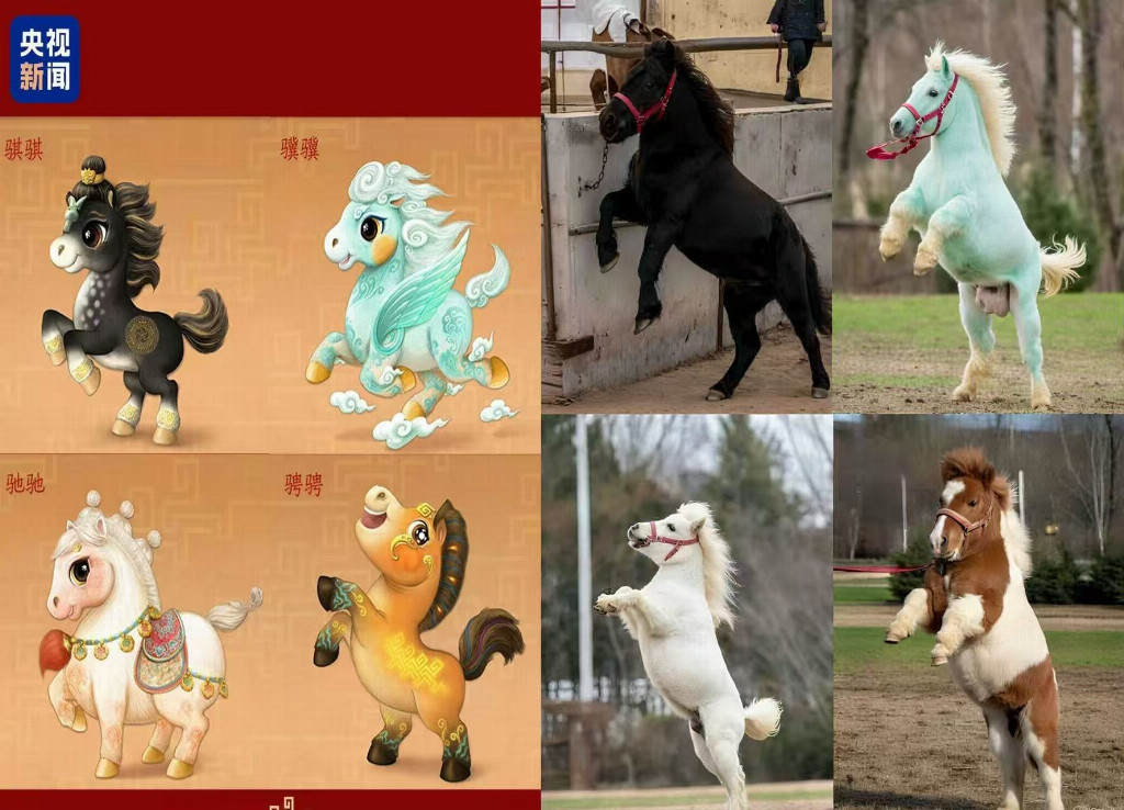 2026马年最火宠物来袭：可爱迷你小马“宝莉”成新晋网红，堪比小猪佩奇与卡皮巴拉！