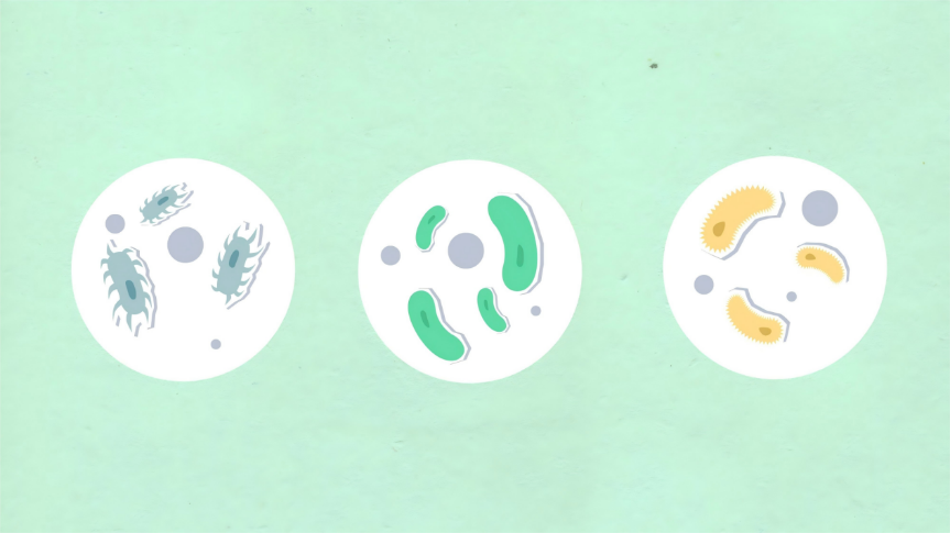 重症肺炎别漏诊！DNA+RNA 双检流程精准识别混合感染