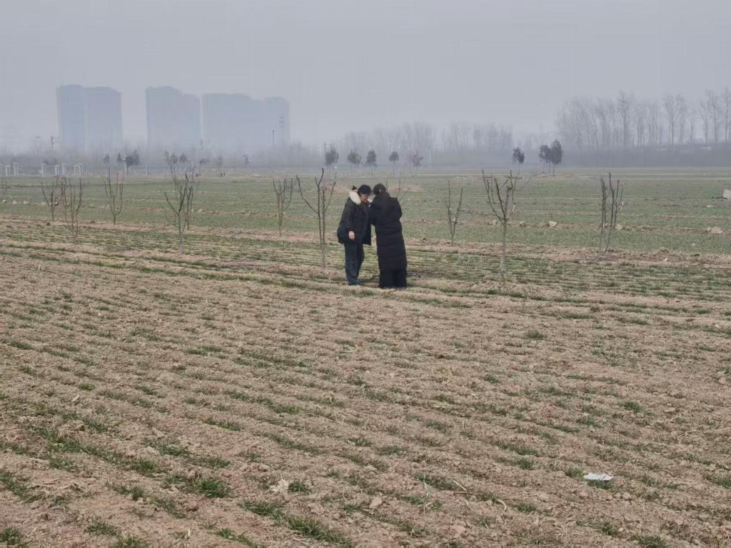 【文学院寒假社会实践】——智言入田畴，数