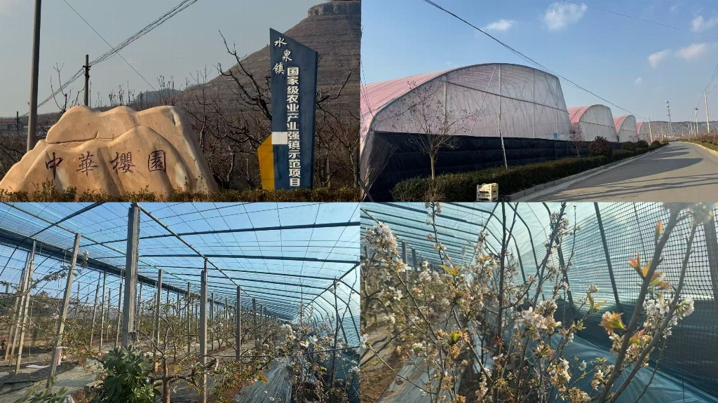 廿四青声入基层 全会精神践初心 ——山东大学药学院“廿四青声”宣讲团多维度践行党的二十届四中全会精神