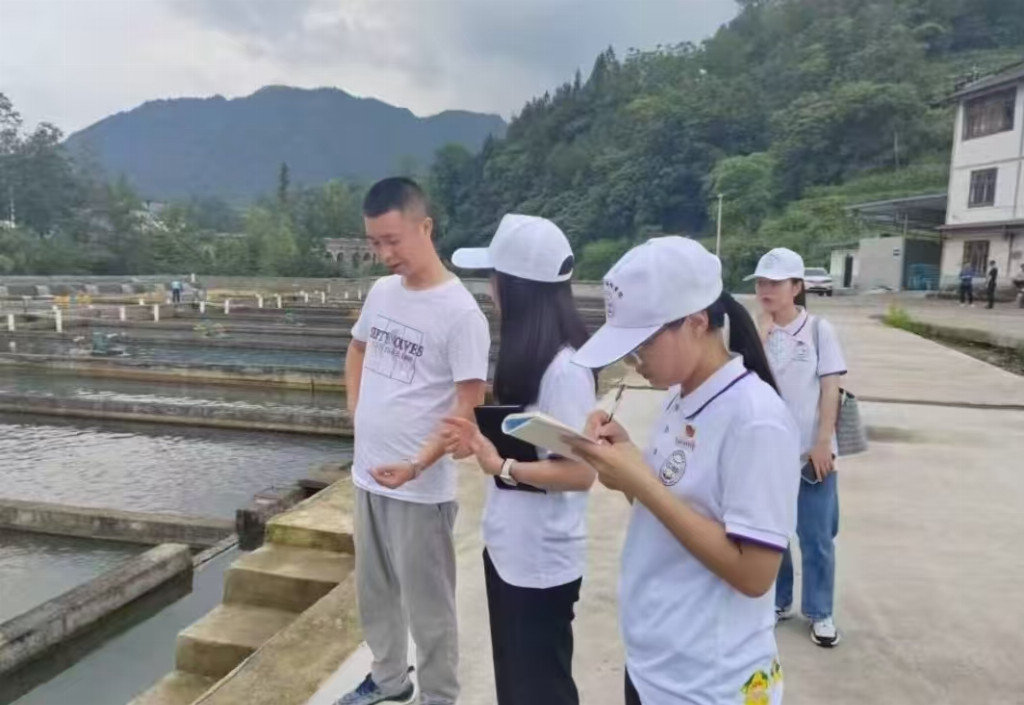 科技助农进深海，渔村振兴有新路