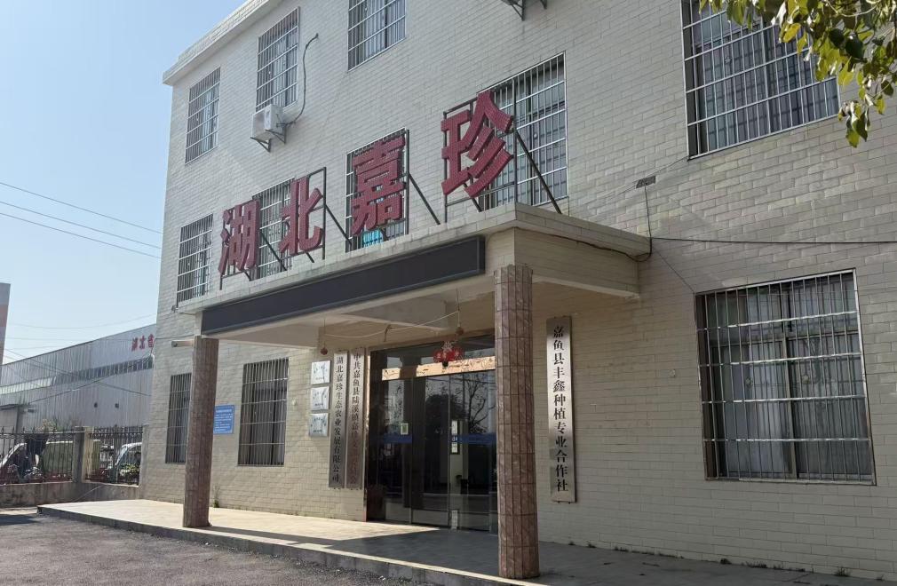 “嘉”“藕”天成藕韵兴村——中南大“乡村振兴藕先行队”赴嘉鱼实践调研(图1) “嘉”“藕”天成藕韵兴村——中南大“乡村振兴藕先行队”赴嘉鱼实践调研(图1)