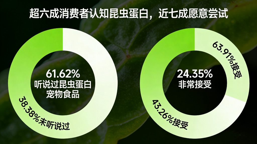 吃厨余垃圾长大的宠物零食？黄粉虫掀起宠物