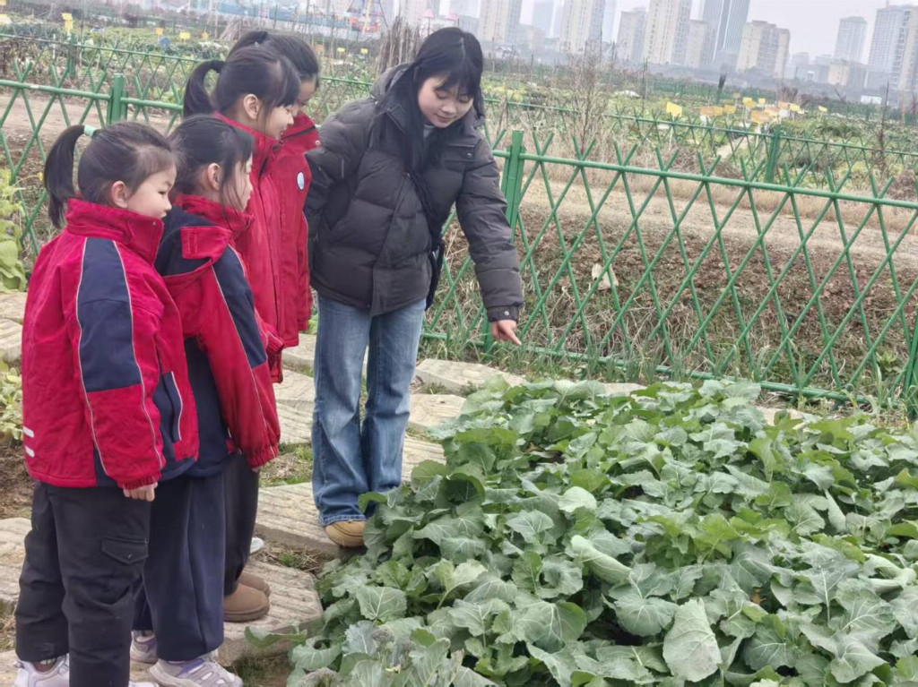 西南财经大学实践队融通田园与科技助力教育