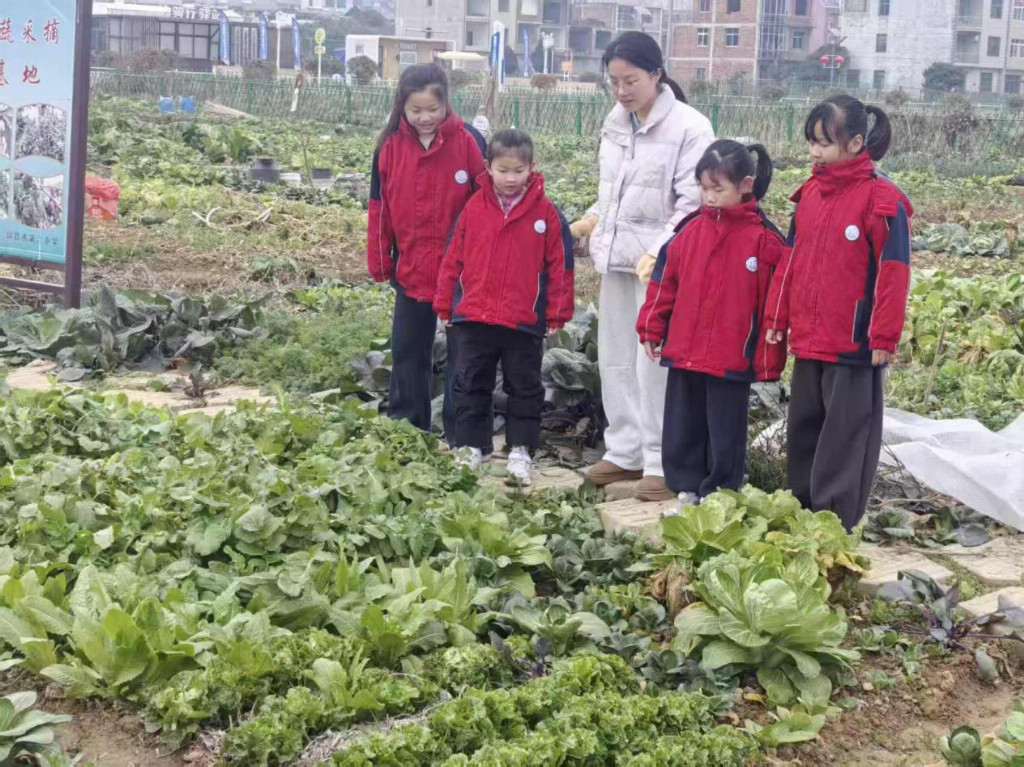 西南财经大学实践队融通田园与科技助力教育