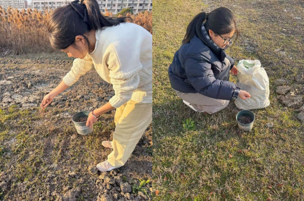 科技治土兴乡村炭基材料焕新生——绍兴理工学院团队打造土壤重金属修复新方案(图3)
