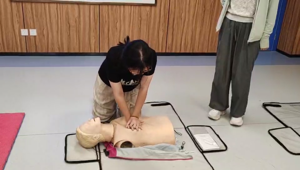 “回乡看齐鲁”|针灸推拿学院“青禾同心队”赴济南多地开展“‘南·锋’护健康，三进暖齐鲁”活动