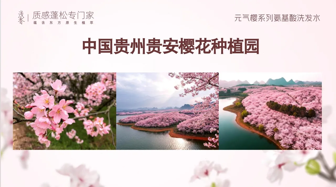 樱花种植园-compressed.jpg