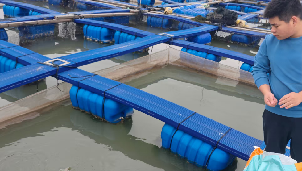 林华献：深耕黄鱼之乡 以科创点亮大黄鱼产业振兴路 ——金海领鲜破局传统养殖，书写科技兴农新篇章