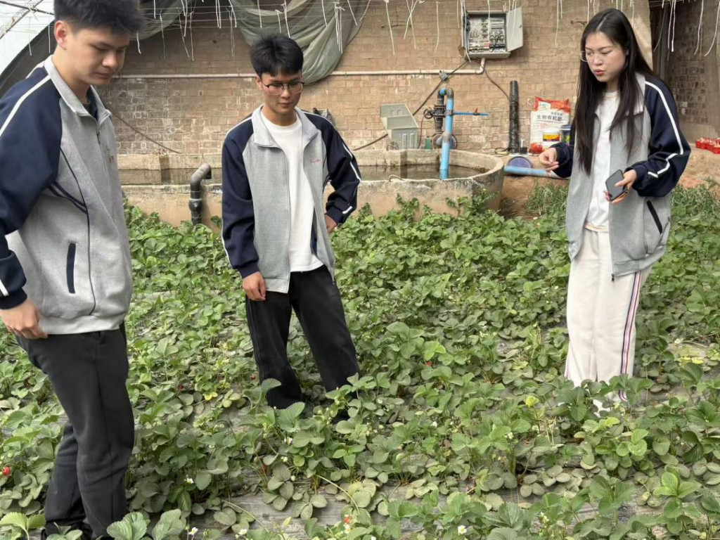 耘境智能：用算法解锁设施农业新范式