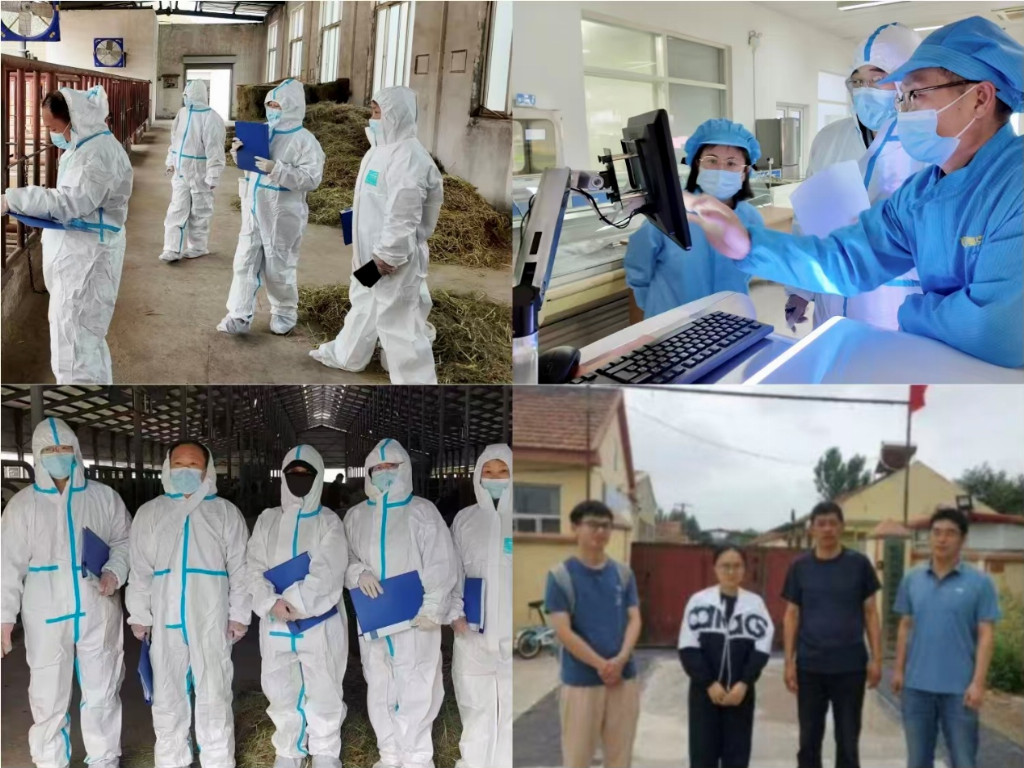 青岛农业大学生命科学学院实践团赴胶州、潍坊开展生猪热应激调研，科技赋能筛选抗热应激药物