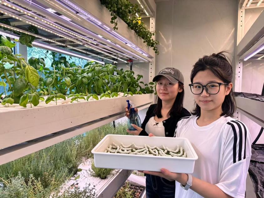 机器视觉 + 多模态感知石财院 “数智芯茧” 以信息技术重塑蚕桑智造新标准