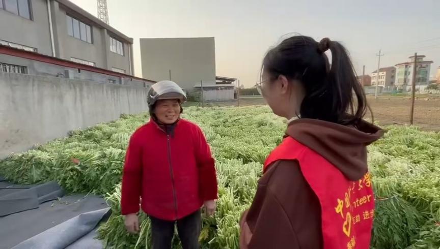 区块链“上码”守护老味道:中国计量大学志愿者助萧山萝卜干附加值提升