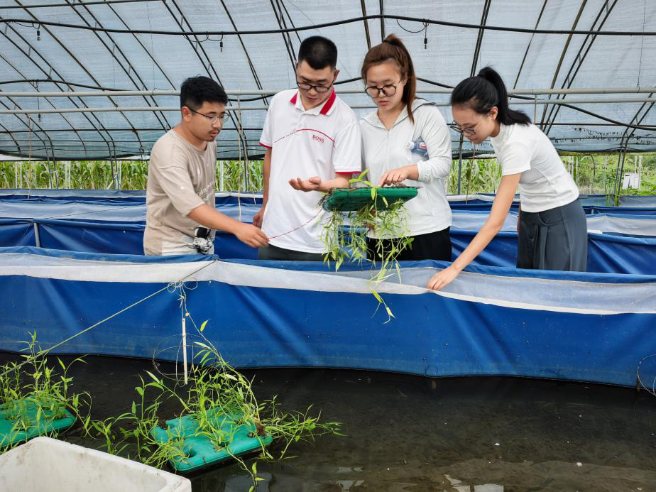 f03724fbf4ec6bfc14a3b89c2a2379db46c82472ecfa53edaa4fbcd2351e1e4c