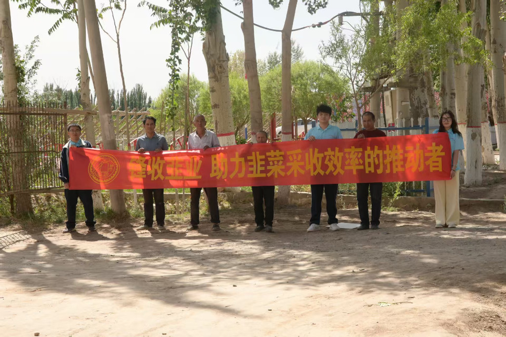 青春助农显担当：锋收韭业团队与农户携手，