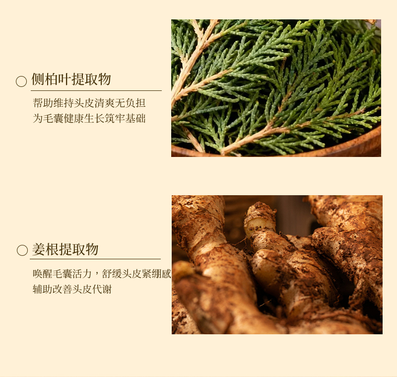 06431e0c9be64e7eb00fcc2ff364cae6e7a8a7dd2f9dd1db52925384079ef686