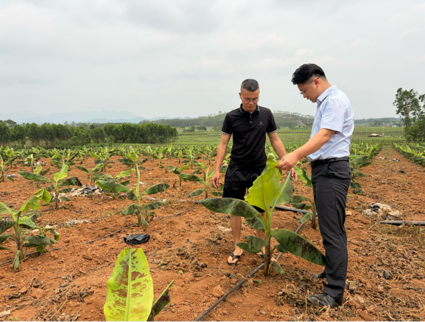 0d7e47a3ebec34129a6e02bd8698f12a94b48acb485fb718be0b75d813b01b43