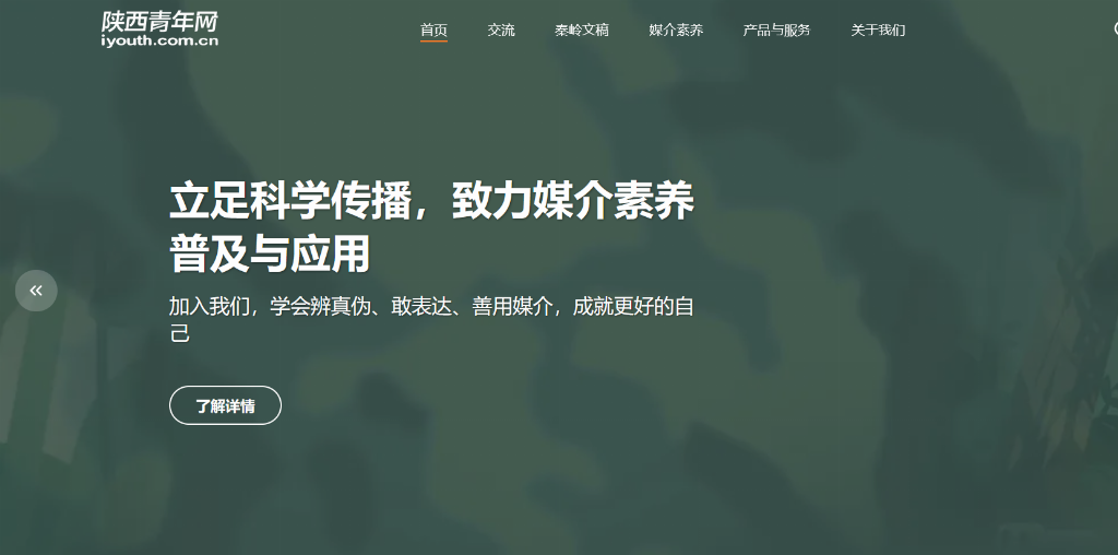 陕西青年网